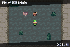 Pokemon Pit of 100 Trials Roguelite Style Hack