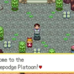 Pokemon Hodgepodge Platoon