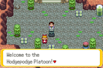 Pokemon Hodgepodge Platoon