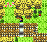 Pokemon Polished Crystal