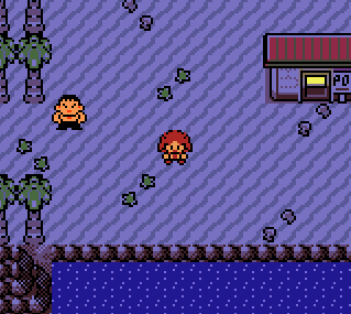 Pokemon Canine Islands