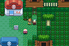 Pokemon Contemporary Emerald