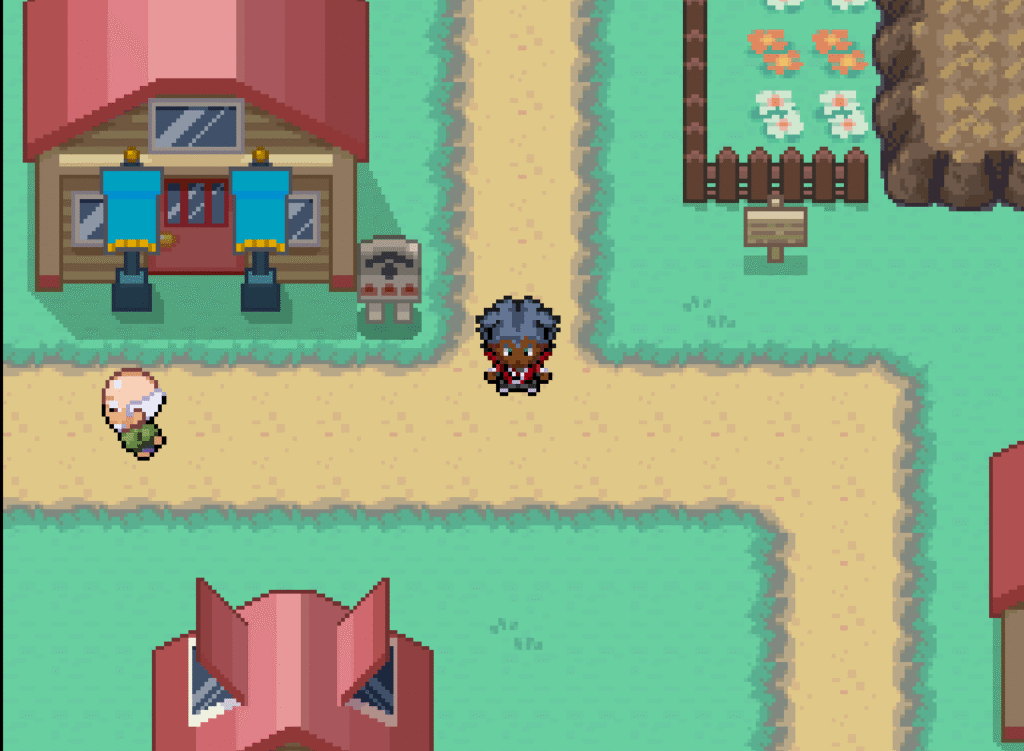 Pokemon Game