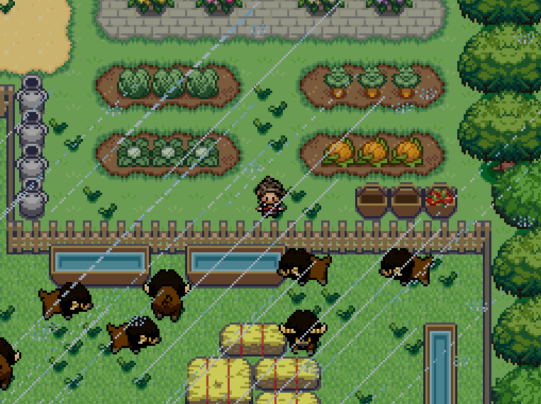 Pokemon The Weather Lady's Strange Day Off Pokemon The Weather Lady's Strange Day Off