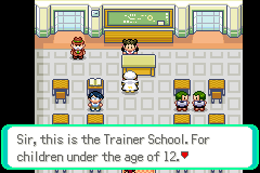 Pokemon Too Many Types 2